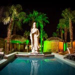 Tantric Joyfest Spa Vacation